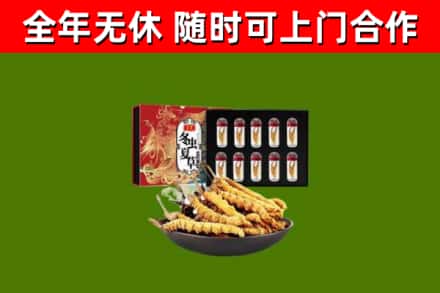东港市回收冬虫夏草价格